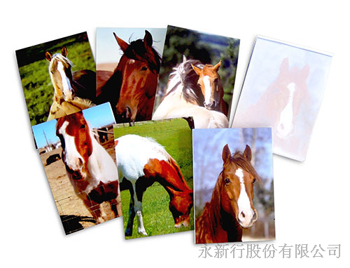 便條紙_M-14420 馬便條紙